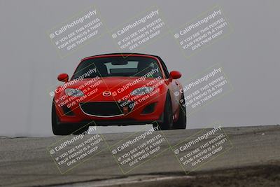 media/Nov-28-2025-Speed SF (Fri) [[b9fcb3577c]]/Blue/Session 2 (Grapevine)/